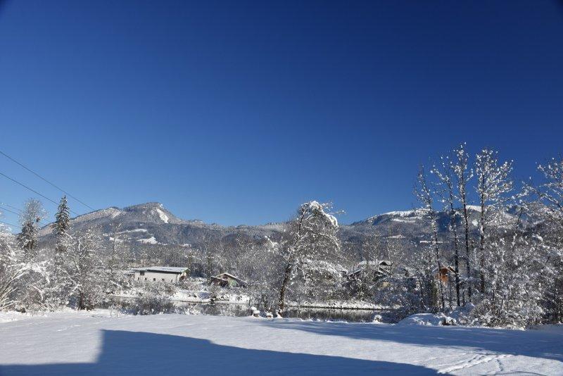 Landhaus Hallstatt Feeling - Apartment - Self Check-In Bad Goisern Esterno foto