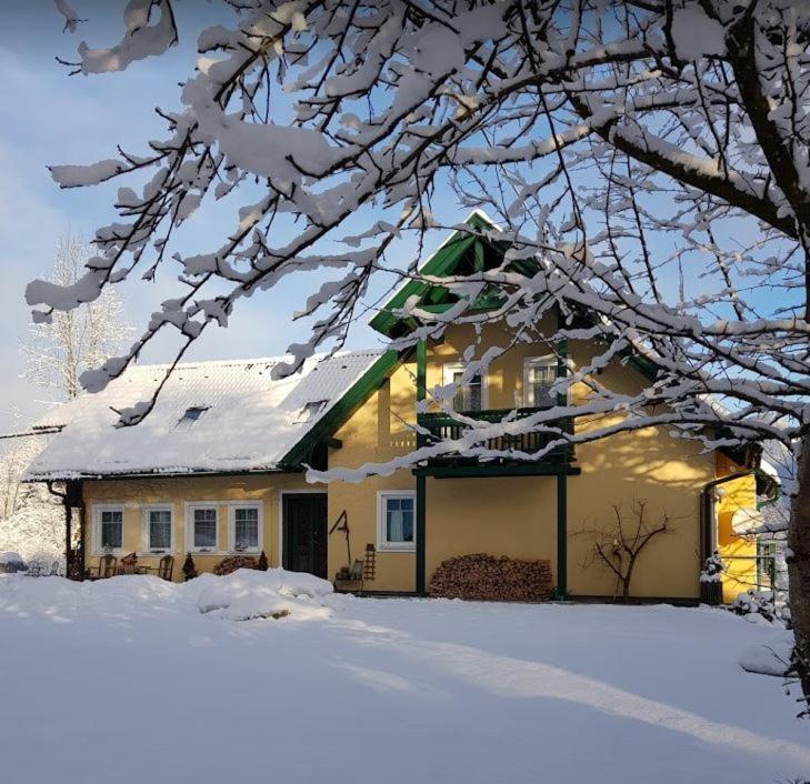 Landhaus Hallstatt Feeling - Apartment - Self Check-In Bad Goisern Esterno foto